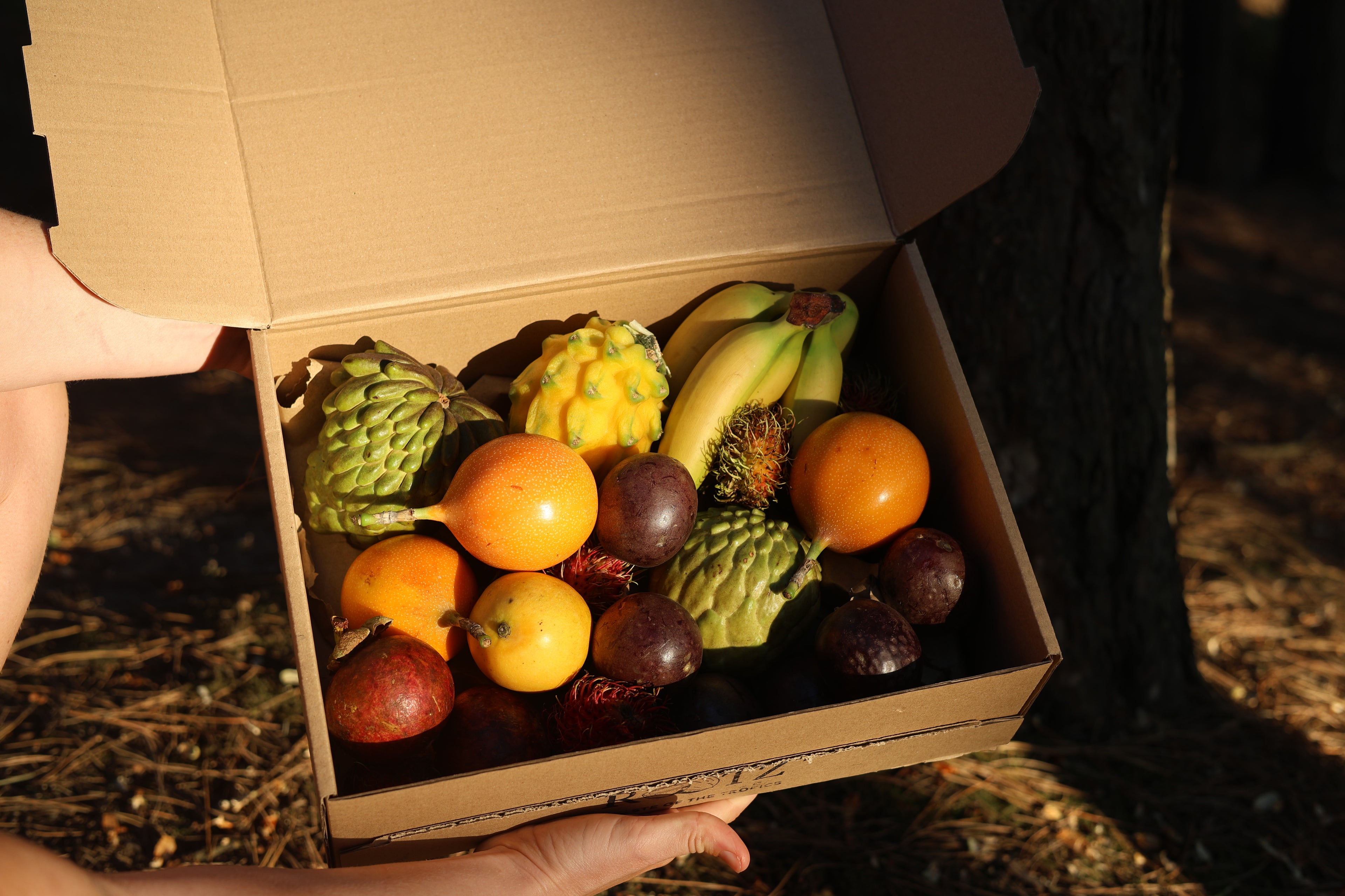 Tropic Rootz Exotic Fruit Box